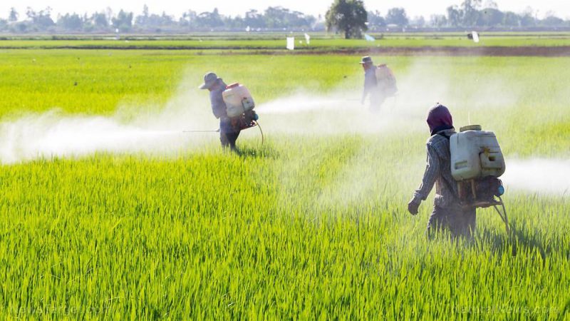 Its Impact on Agriculture